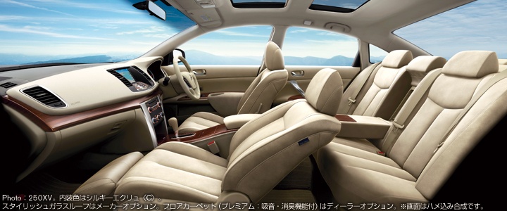 Photo：250XV