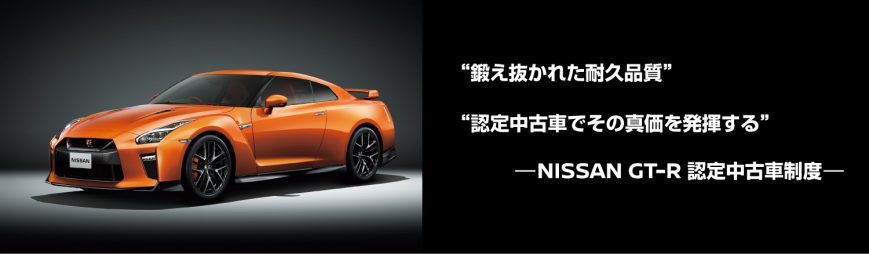 独特の素材 [ GT-R 日産：NISSAN GT-R スポーツ＆スペシャリティ/SUV ] 車種別パーツ