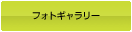 フォトギャラリー
