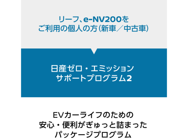 ゼロ・エミッションサポートプログラム２